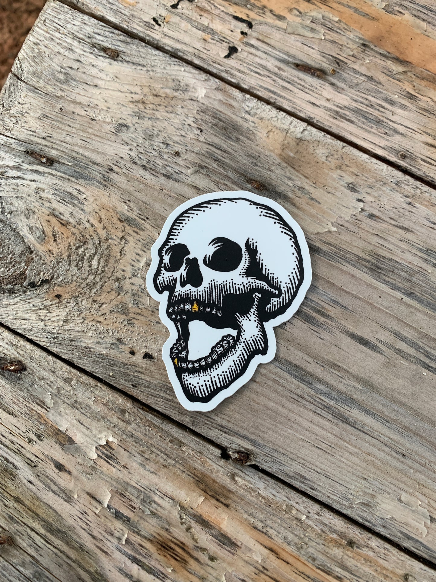 Gold tooth skull - Thread & Resin