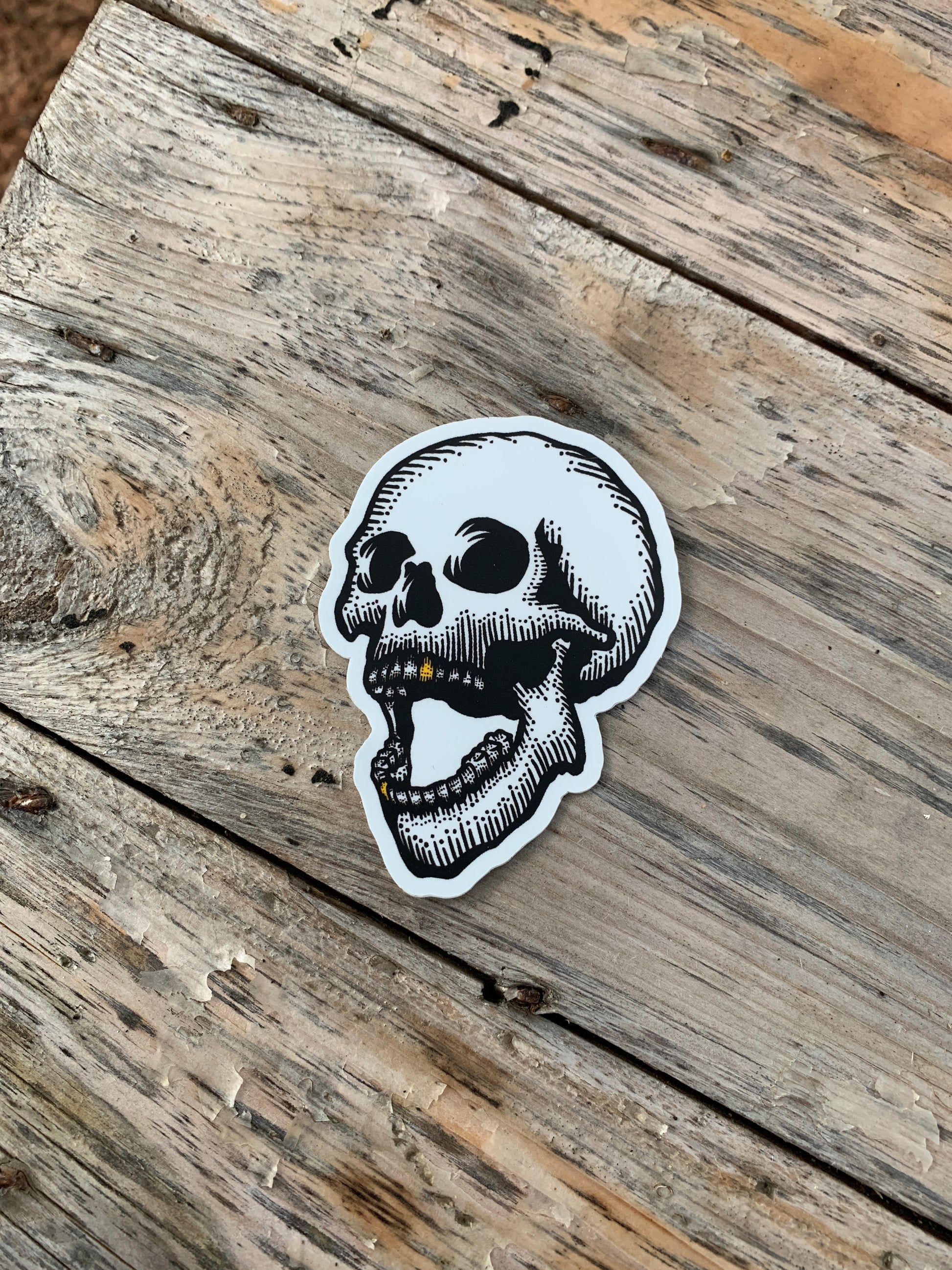 Gold tooth skull - Thread & Resin