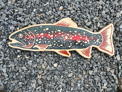 Rainbow Trout