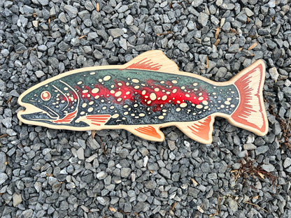 Rainbow Trout